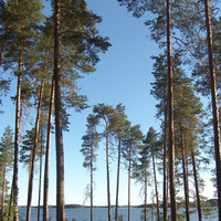 Väärnin leirikeskus Väärnin leirikeskus