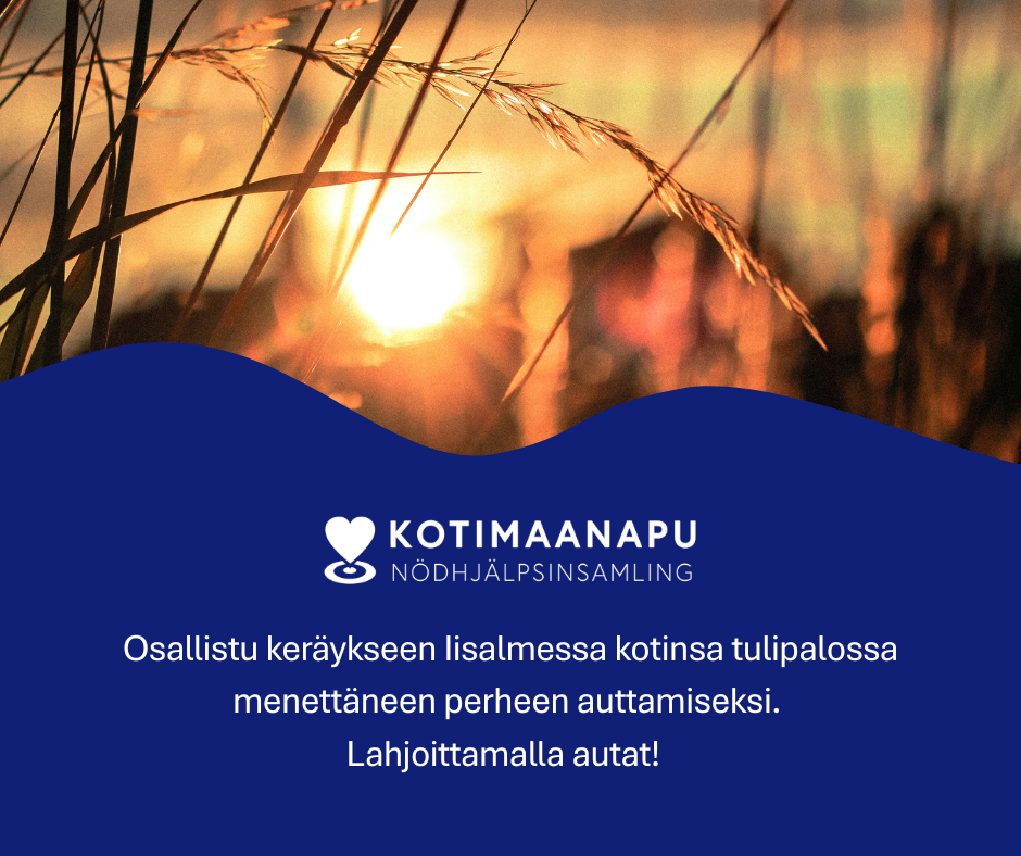 Auringon kajastus heinien takaa.