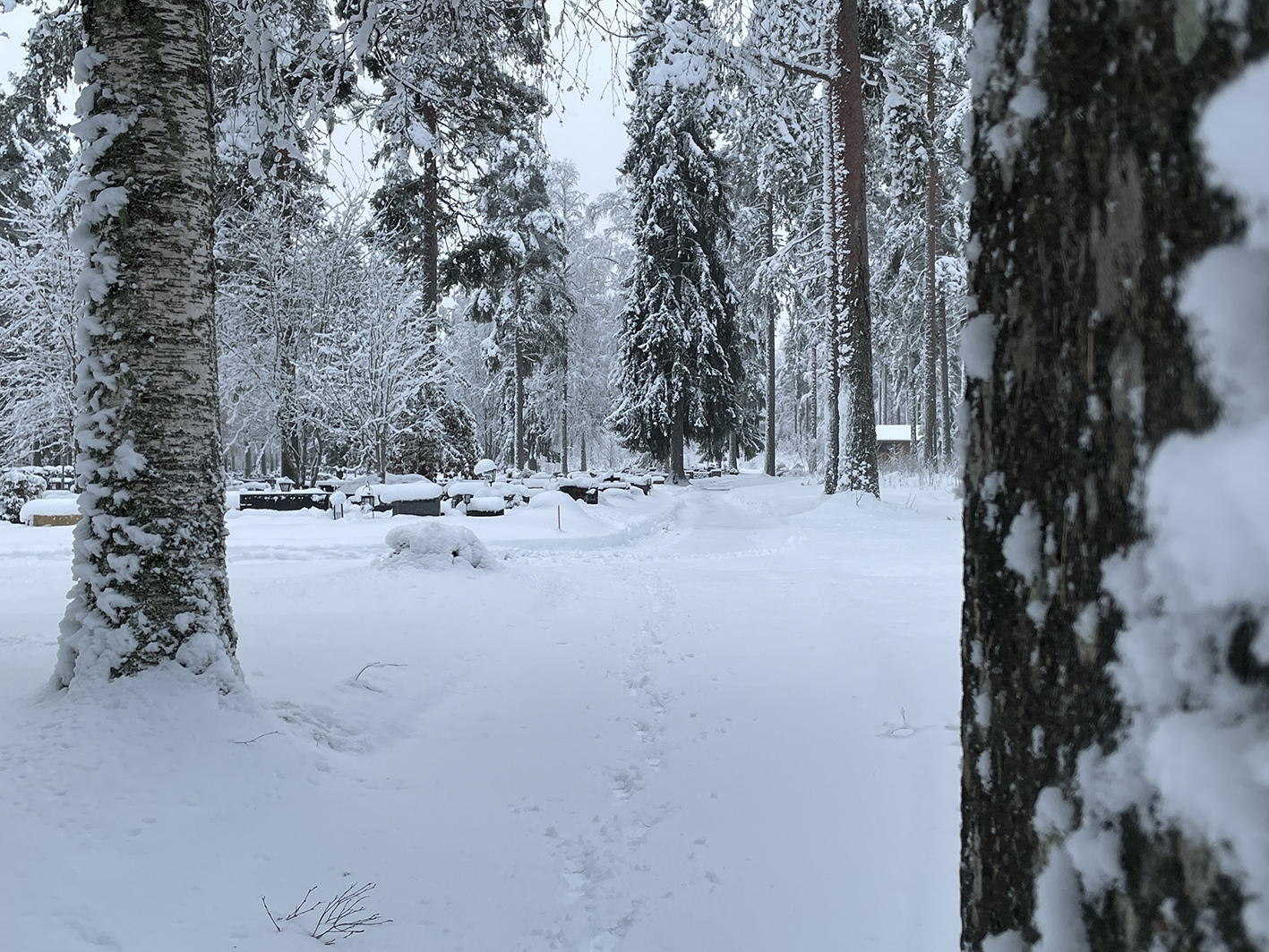 Kangaslammin hautausmaa talvisena.