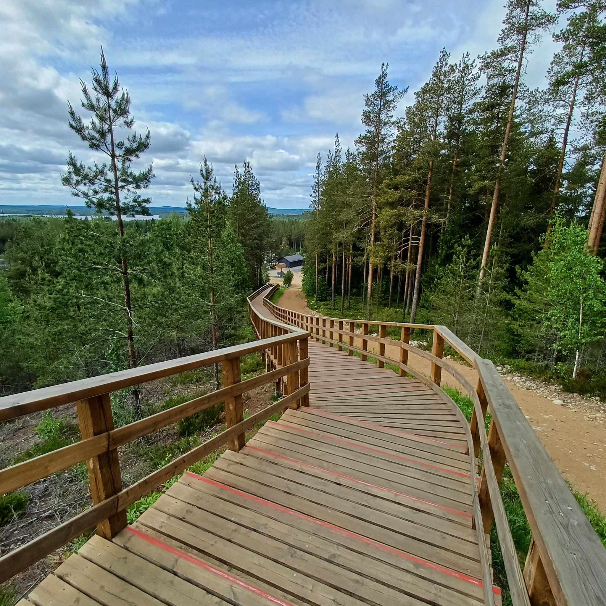 Haminamäen puiset kuntoportaat alaspäin kuvattuna Lapinlahdella. Puita ja metsää ympärillä.